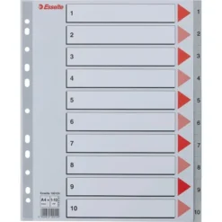 Esselte Maxi Register | A4 | Plast | Grå | 1-10