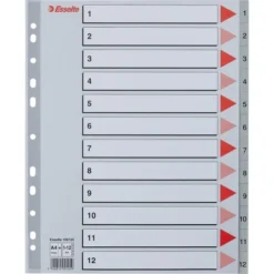 Esselte Maxi Register | A4 | Plast | Grå | 1-12