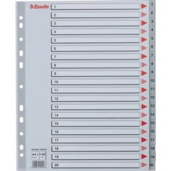 Esselte Maxi Register | A4 | Plast | Grå | 1-20