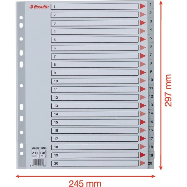 Esselte Maxi Register | A4 | Plast | Grå | 1-20 5 Esselte Maxi Register | A4 | Plast | Grå | 1-20 - Billede 3