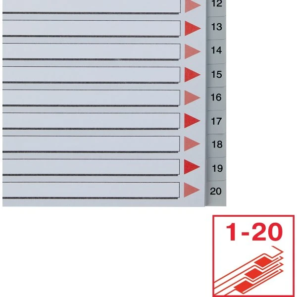 Esselte Maxi Register | A4 | Plast | Grå | 1-20 7 Esselte Maxi Register | A4 | Plast | Grå | 1-20 - Billede 5