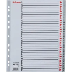 Esselte Maxi Register | A4 | Plast | Grå | 1-31