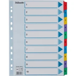 Esselte Mylar Register | A4 | Karton | 1-10