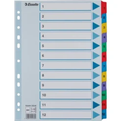 Esselte Mylar Register | A4 | Karton | 1-12