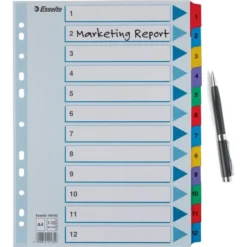 Esselte Mylar Register | A4 | Karton | 1-12 -Aida shop esselte mylar register a4 karton 112 4