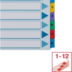 Esselte Mylar Register | A4 | Karton | 1-12 -Aida shop esselte mylar register a4 karton 112 5