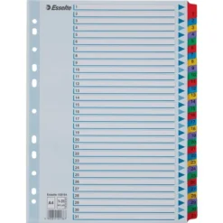 Esselte Mylar Register | A4 | Karton | 1-31