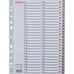 Esselte Register | A4 | Plast | Grå | 1-54